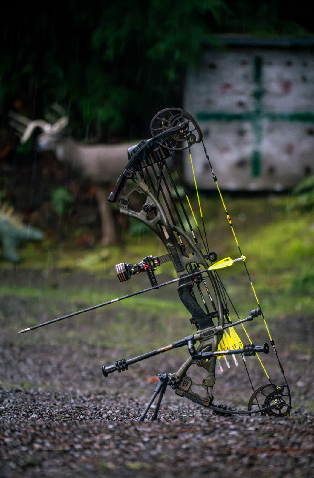 Indoor Archery Range in Kalispell: How to Shoot Through a Flathead Winter